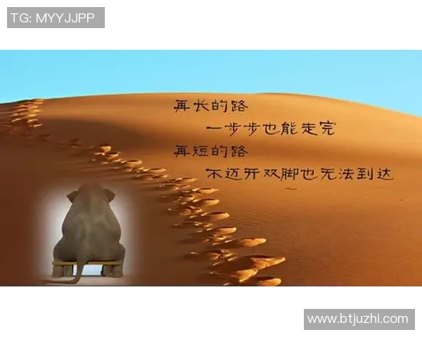 足球巨星的奋斗历程与励志故事启示我们追梦的力量与坚持的意义